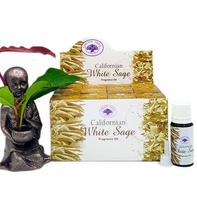 Green Tree - Huile Parfumée White Sage Sauge Blanche - Box de 12