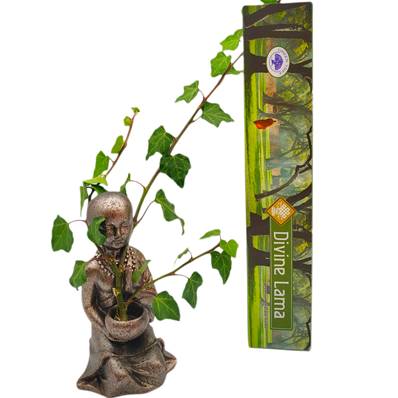 Encens Green Tree - Divine Lama