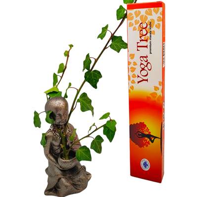Encens Green Tree - Yoga Tree