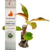 Encens Ayurvedic - White Sage - Sauge Blanche