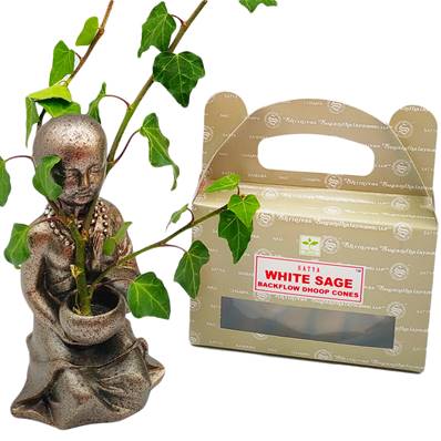 Encens Satya Backflow White Sage Sauge Blanche