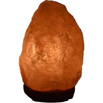 Lampe en véritable Sel de l'Himalaya - 9-11 kg
