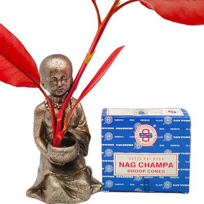 Encens Satya Nag Champa Dhoop Cones - Original